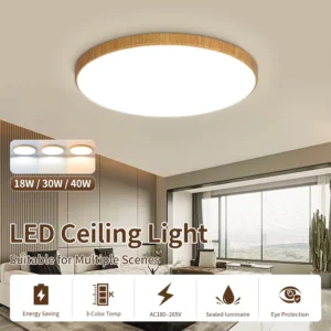 220v led ceiling lights led ceiling lamp 18w/30w/40w/50w lighting for living room